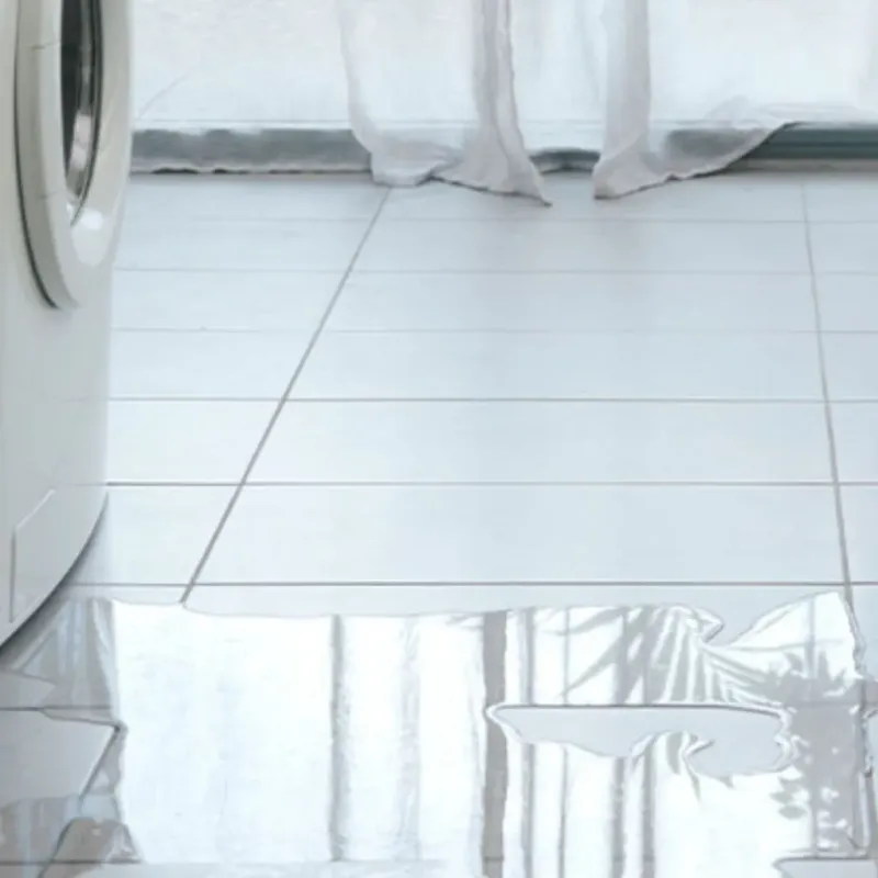 Appliance Leak Cleanup in Dardanelle, AR