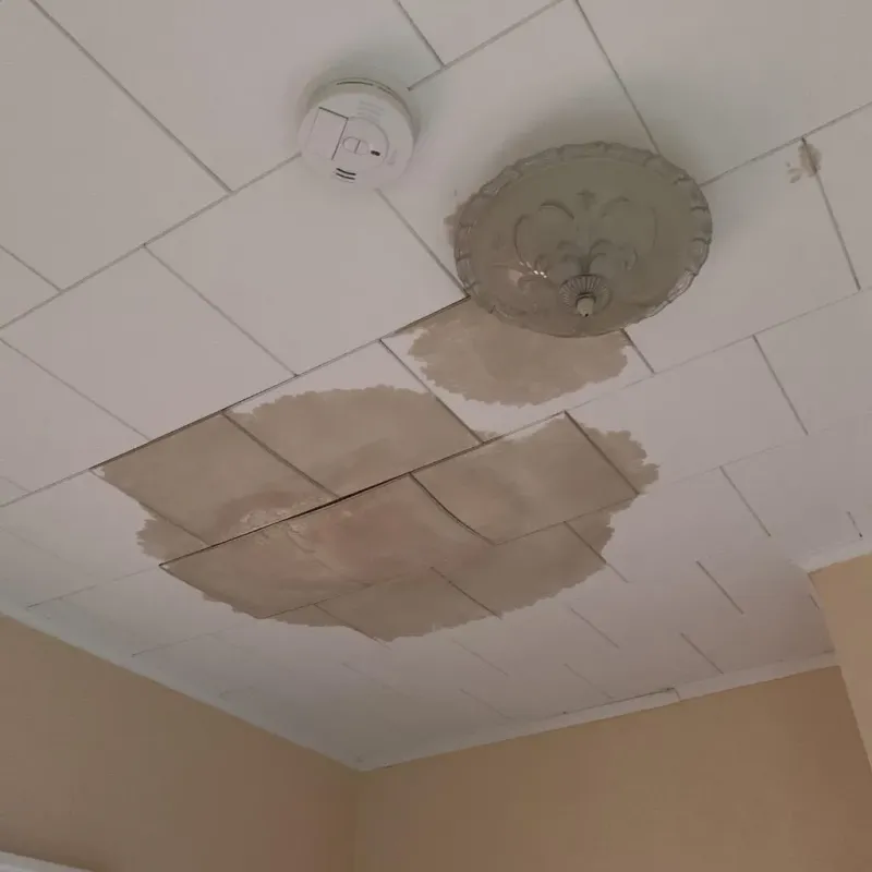 Ceiling Water Damage Repair in Dardanelle, AR