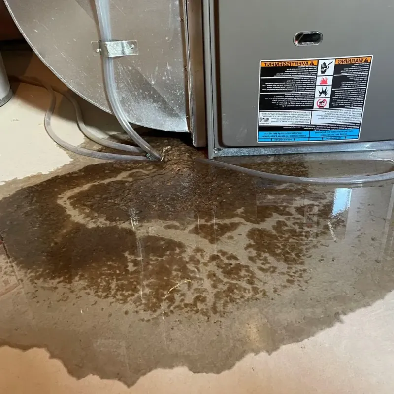 Pipe Burst and Leak Restoration in Dardanelle, AR